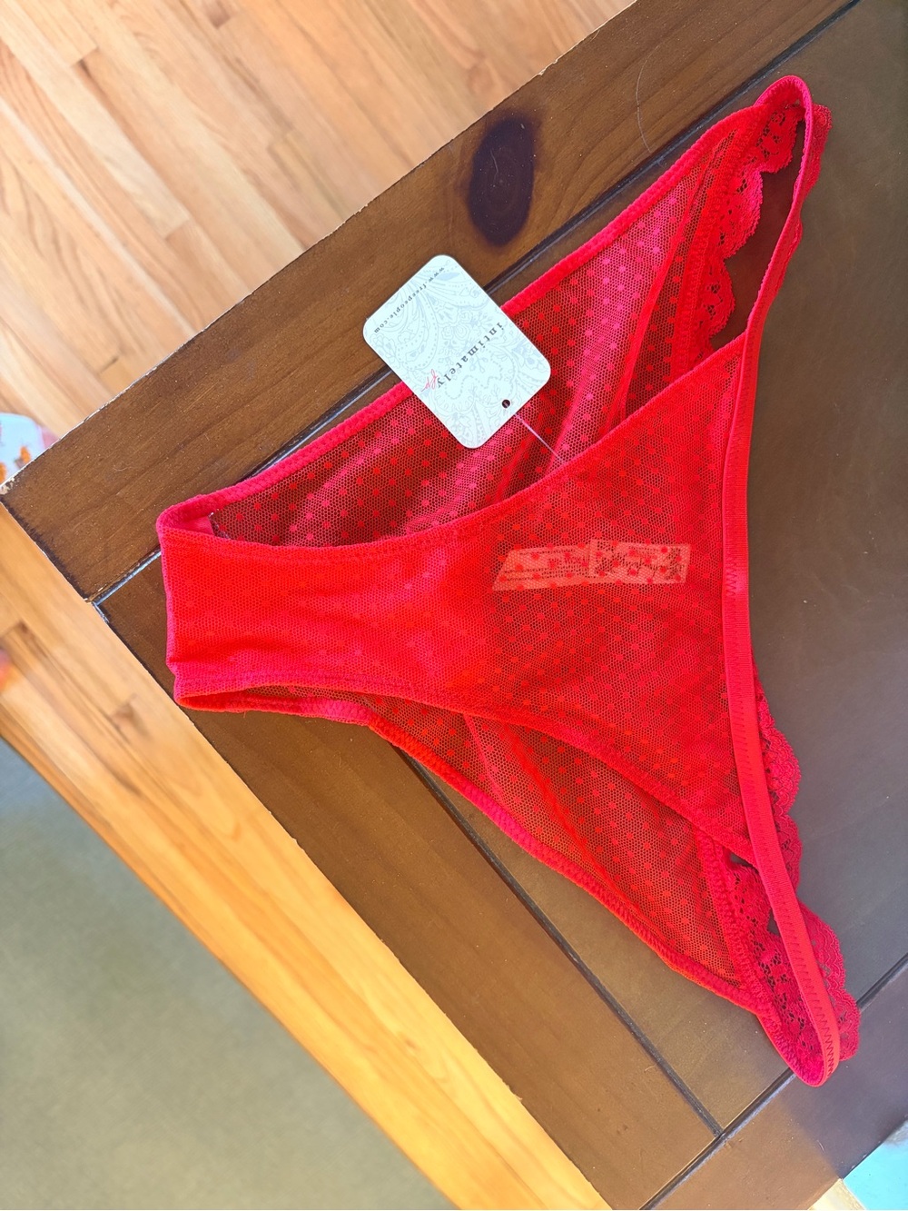 Free People Red Lace & Mesh Bikini Panty
